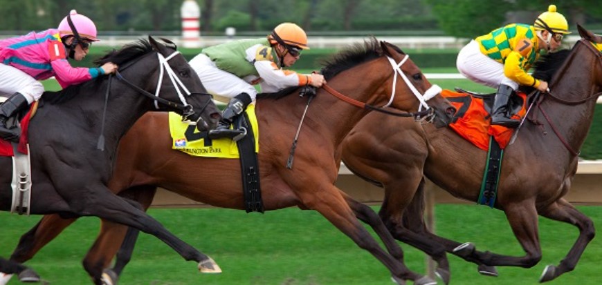 Lợi Ích Khi Tham Gia Đua Ngựa 8DAY